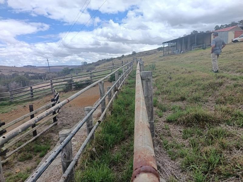 0 Bedroom Property for Sale in Albertinia Western Cape